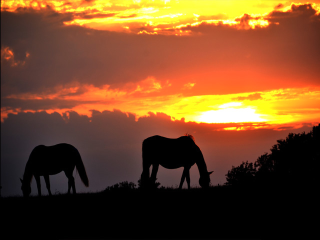 seven-oaks-ranch-sunset