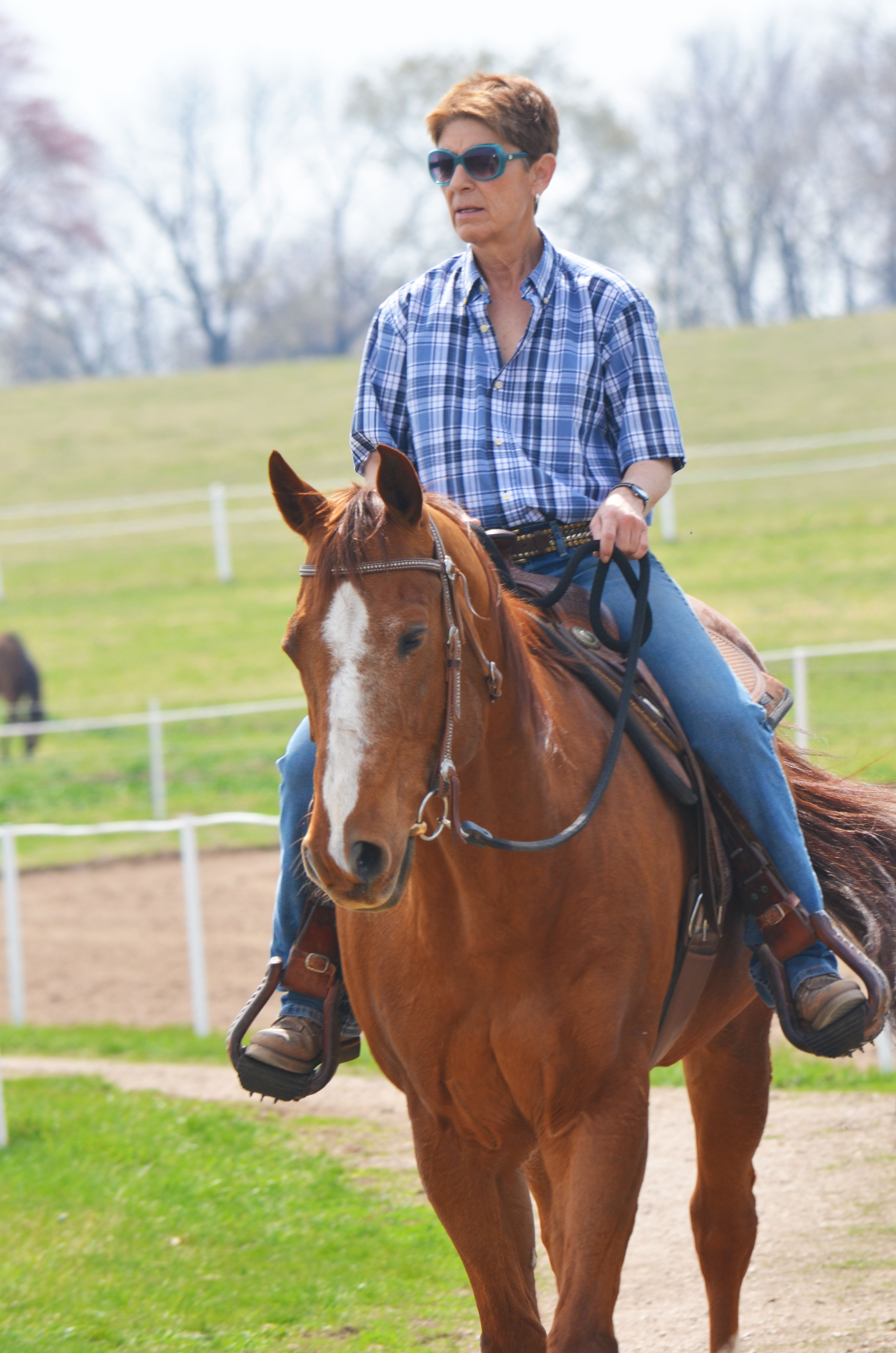 Vicki Rhaesa Horsemanship