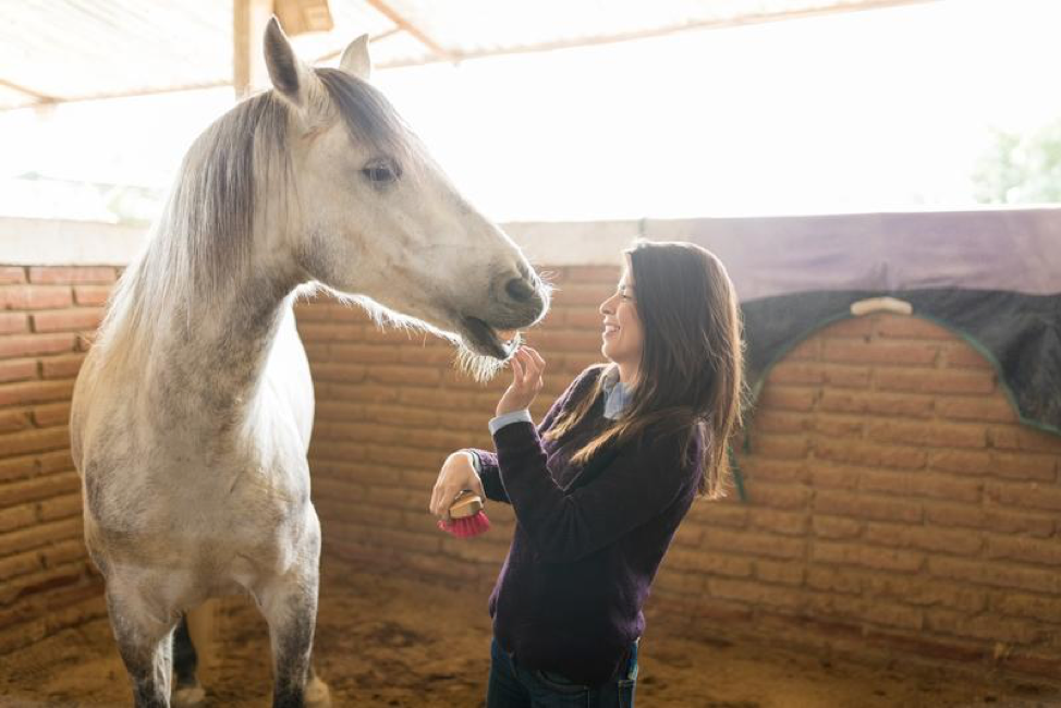 Horses Are Medicine for the Soul